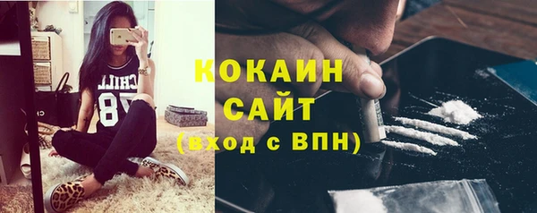 крисы Абаза