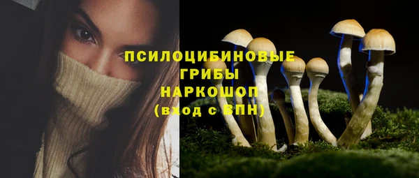 ГАЛЛЮЦИНОГЕННЫЕ ГРИБЫ Абинск