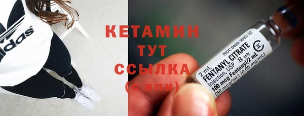 крисы Абаза