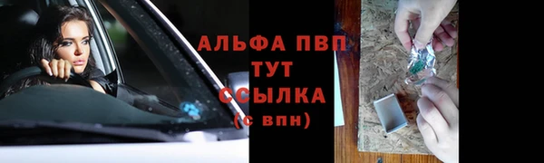 СК Нефтегорск