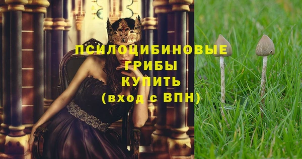 крисы Абаза