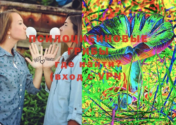 стаф Нея
