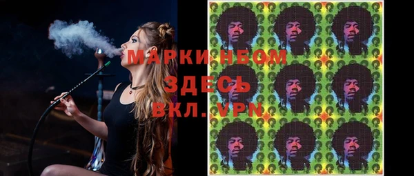 стаф Нея