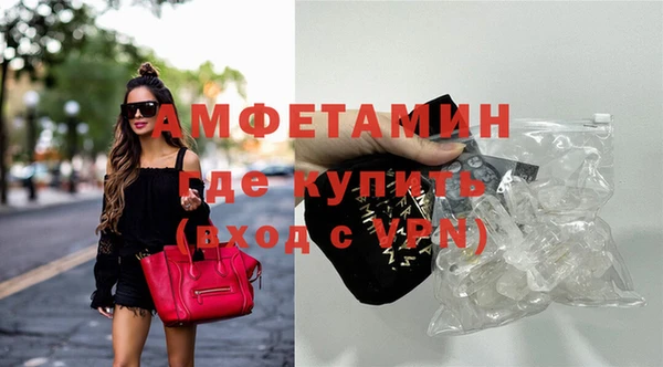 крисы Абаза