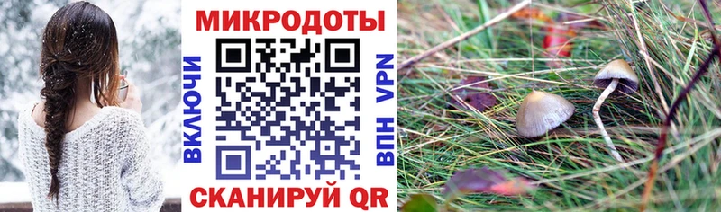 Галлюциногенные грибы Psilocybine cubensis Энем